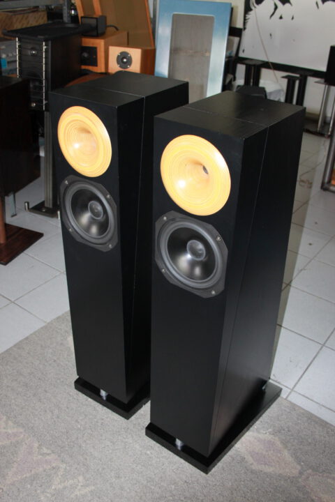 odeontosca-1