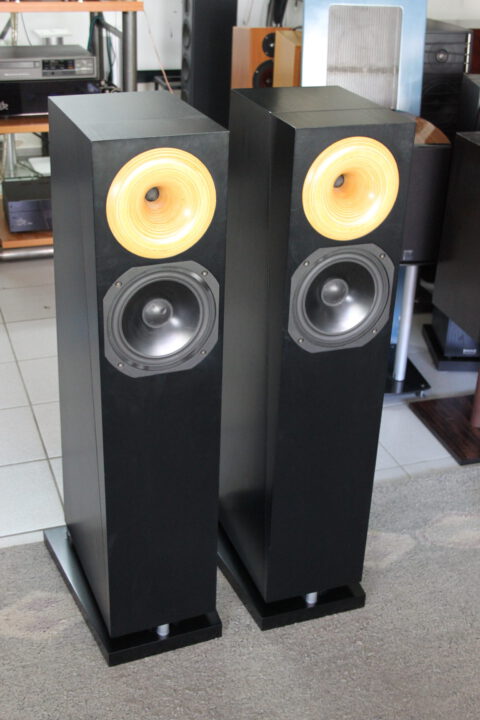 odeontosca-2